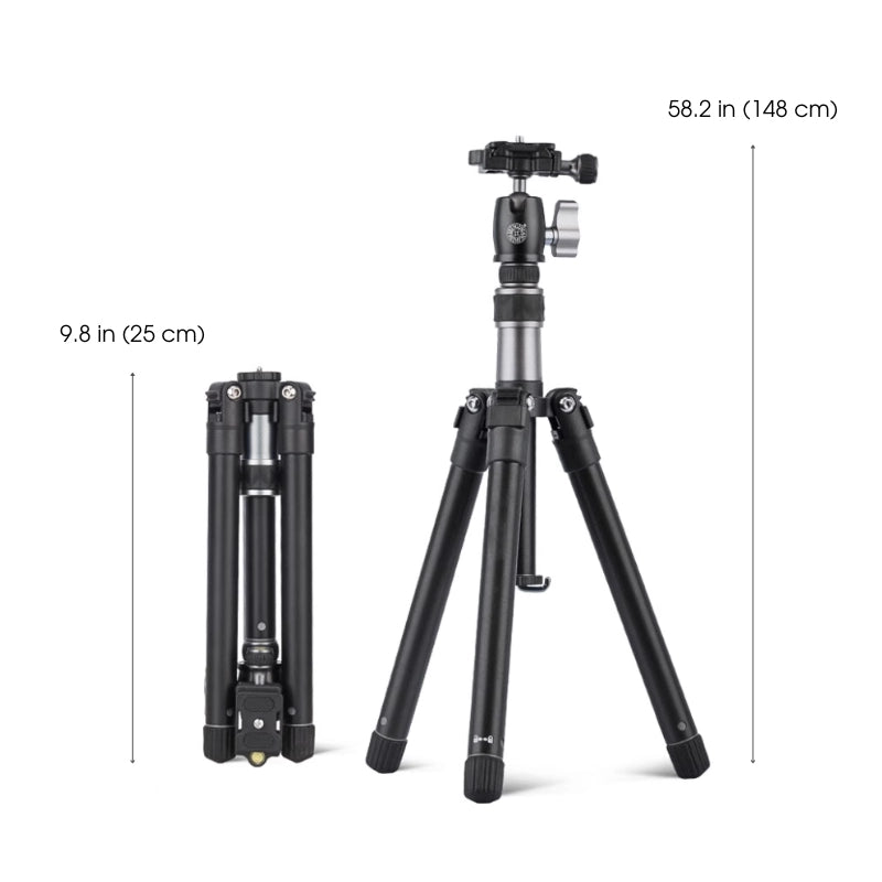 Handmade Walnut Art Kit (Master Edition)